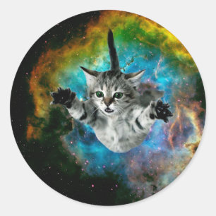 Kattensprong in de ruimte ronde sticker