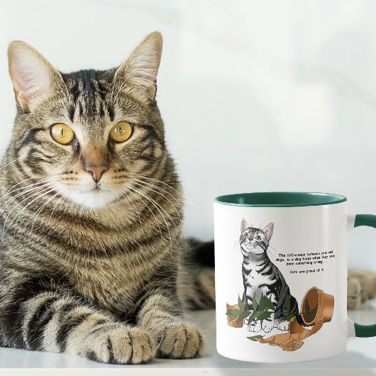 Kattenstreken Mok