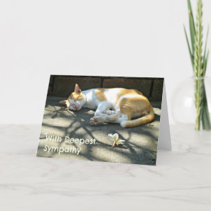 Kattensympathiekaart voor verlies kaart