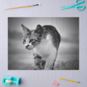 kattentissuepapier zoeken tissuepapier (Craft)