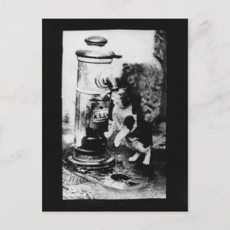 Kattenverfrisser in fontein briefkaart