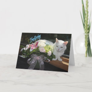 kattenverjaardag kaart