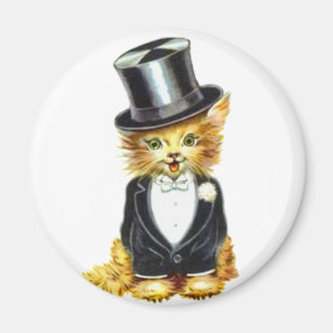 Kattenverzorging Magneet