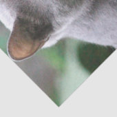 kattenweefsel tissuepapier (Detail)