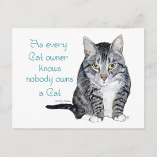 Kattenwijsheid - zoals elke katteneigenaar weet briefkaart