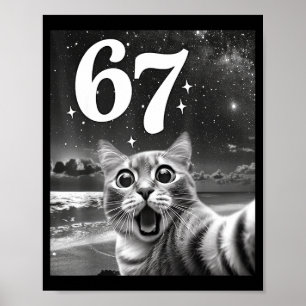 Kattenzelfie Met 67 Meme Grappige Katten Grafisch Poster