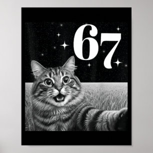 Kattenzelfie Met 67 Meme Grappige Katten Grafisch Poster