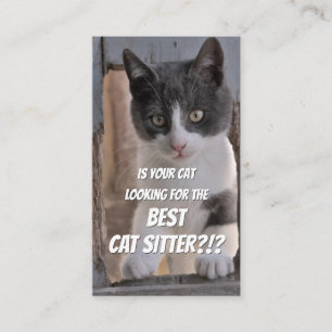 Kattenzetters grappige thuisverzorging, busje visitekaartje