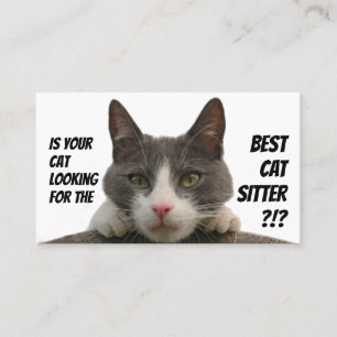 Kattenzetters grappige thuisverzorging, busje visitekaartje