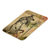  kattethema | Carte Postale | Kat en gier Magneet (Linkerzijde)