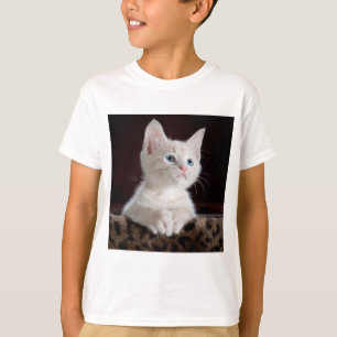 katteuiterlijk shirt