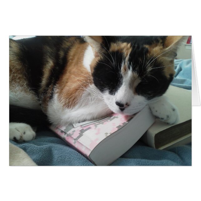 kattevoer (Voorkant Horizontaal)