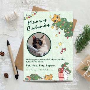 Kattig Katkerstmis   Mooie Katten Kerst Foto Feestdagenkaart