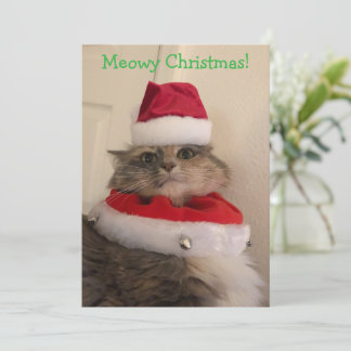Kattig kerstfeest kaart