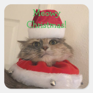 Kattig kerstfeest vierkante sticker