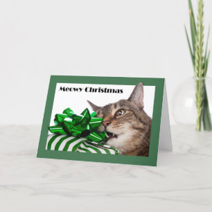 Kattig (Prettig) Kerstfeest Cute Kat Met Cadeau Feestdagen Kaart