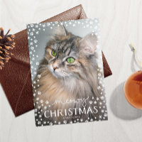 Kattige kerst kattenliefhebber vakantie fotokaart