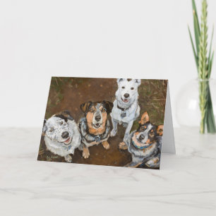 Kattledogs Grenderende koeien Honden en Heelers Kaart