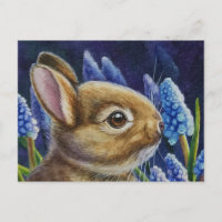 Kattonstkonijn en Waterverf van druiven