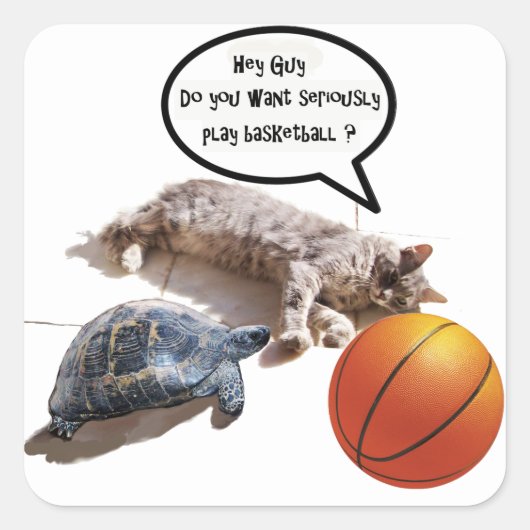 KATTURTLE EN BASKETBALL VIERKANTE STICKER (Voorkant)