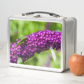 katydid energy (In situ)