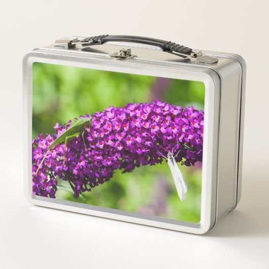 katydid energy (Voorkant)