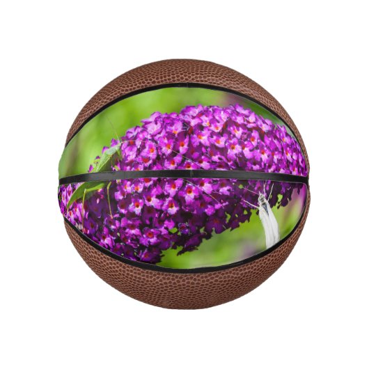 katydid energy basketbal (Voorkant)