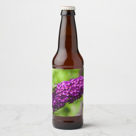 katydid energy bier etiket (Voorkant)