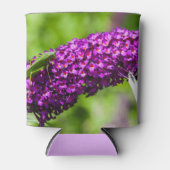 katydid energy blikjeskoeler (Voorkant)