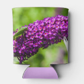 katydid energy blikjeskoeler (Achterkant)