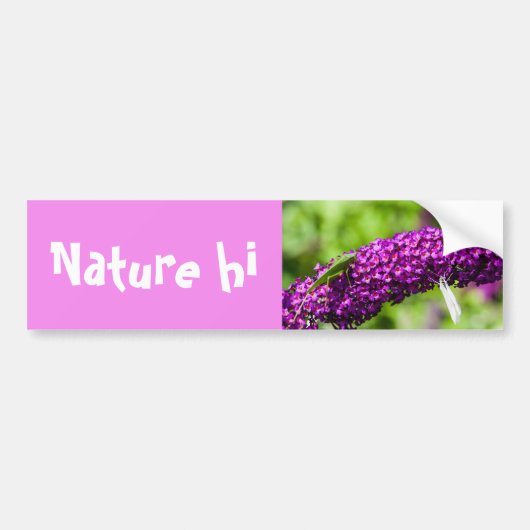 katydid energy bumper sticker (Voorkant)