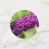 katydid energy confetti (Kleine voorkant)