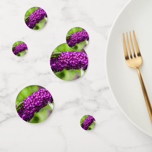 katydid energy confetti (Groep)