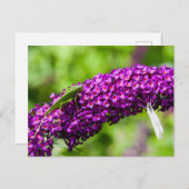 katydid energy feestdagenkaart (Voorkant / Achterkant)