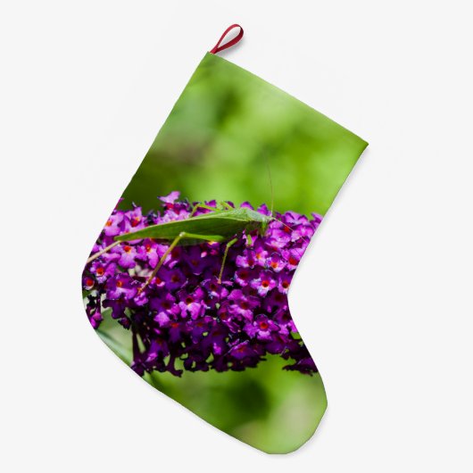 katydid energy grote kerstsok (Voorkant (Hangend))