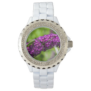 katydid energy horloge