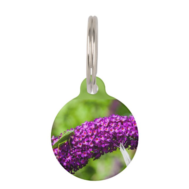 katydid energy huisdierpenning (Voorkant)