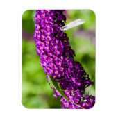 katydid energy magneet (Verticaal)