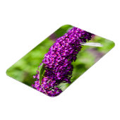 katydid energy magneet (Linkerzijde)