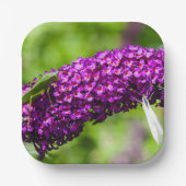 katydid energy papieren bordje (Voorkant)