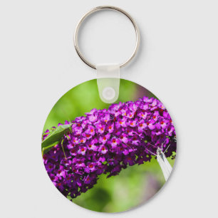 katydid energy sleutelhanger