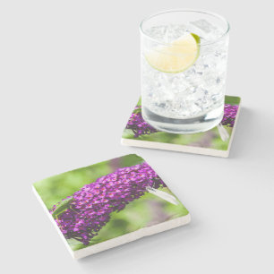 katydid energy stenen onderzetter