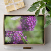 katydid energy tissuepapier (Geschenk)