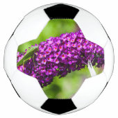 katydid energy voetbal (Voorkant)