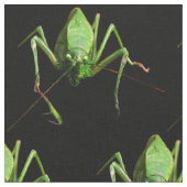 Katydid Fabric Stof (Close Up)
