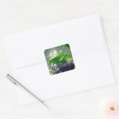 Katydid Grasshopper Natuur Vierkante Sticker (Envelop)