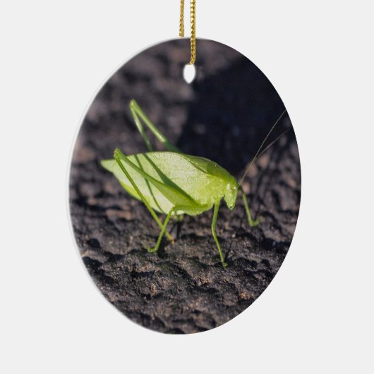 Katydid Keramisch Ornament (Rechts)