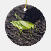 Katydid Keramisch Ornament (Voorkant)