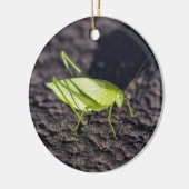 Katydid Keramisch Ornament (Links)