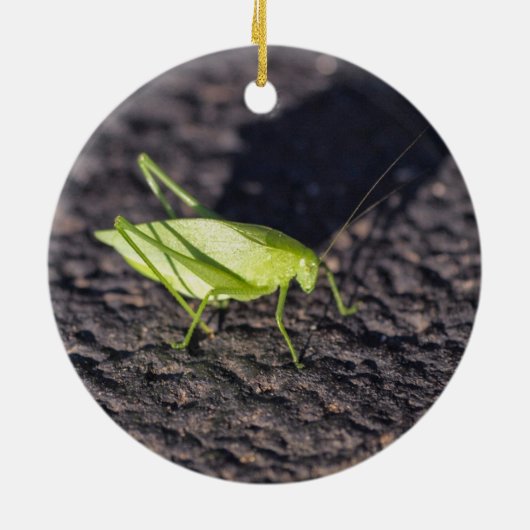 Katydid Keramisch Ornament (Achterkant)